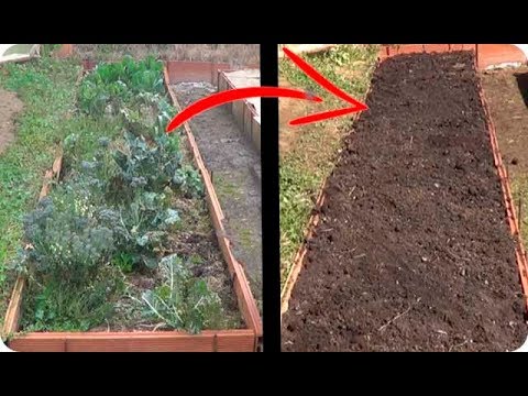 Como preparar el suelo para sembrar