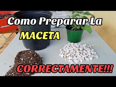 Como preparar una maceta para plantar